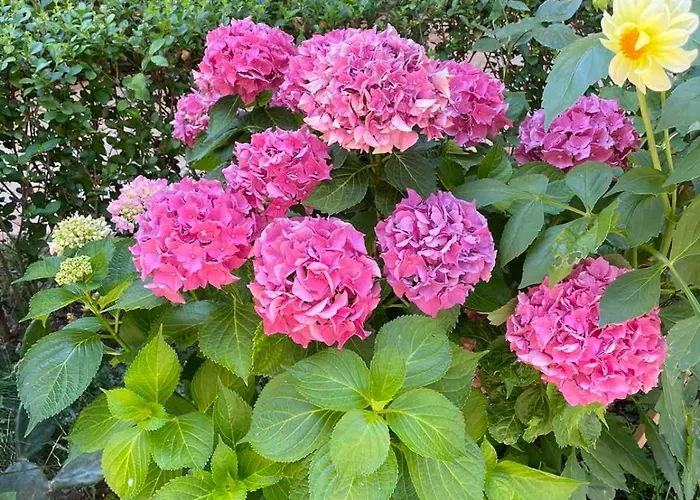 Breeze Apartamento *