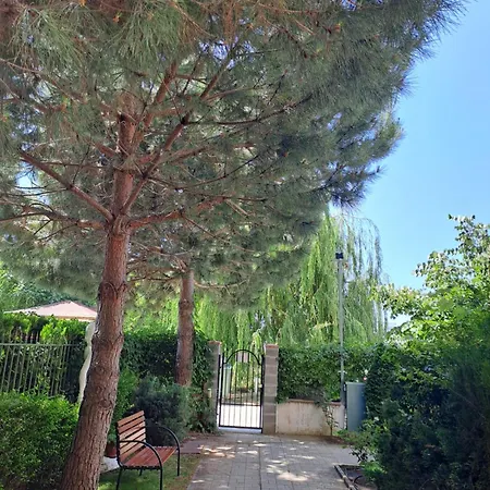 Breeze סאני ביץ'