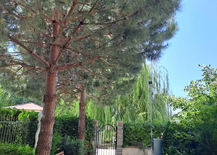 Breeze סאני ביץ'